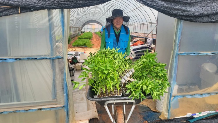 1b4a4c32f9a2035cfc3adbd31ba588da_1745382